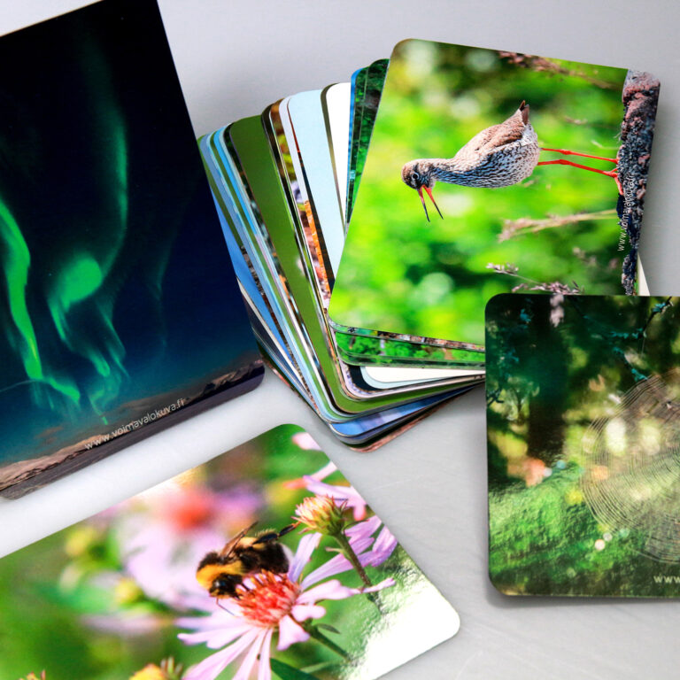 Postcards 1